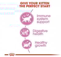 رويال كانين كيتن طعام جاف للقطط الصغيرة Royal cani...