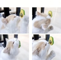 كرة بالعناع البري على شكل افوكادو