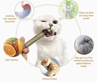 عيدان من نبات الكرمة الفضية والنعناع البري،العاب م...