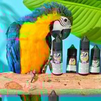 نكهات ريو rio