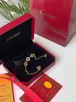 سواره يد سائي كارتير