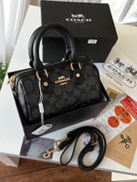 كاوليتى كوتش