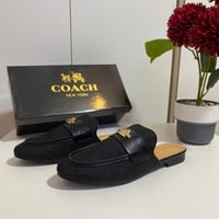 عرض على كوتش