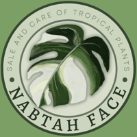 store avatar