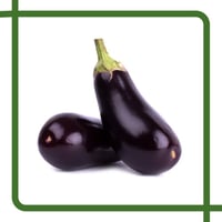 باذنجان أسود