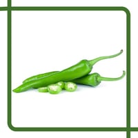 فلفل أخضر حار