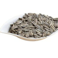 250جرام من حب دوار الشمس الميز