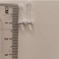 بيرسنق تقويم