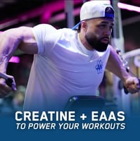 ابلاي نيوترشن بيف ماس جينر | بروتين لحم لزيادة الو...