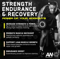 APPLIED CREATINE + PEPTIDE UNFLAVOURED PEPTID 444G