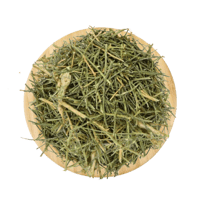 عشبة المدينة