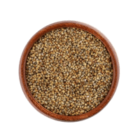 دخن المدينة