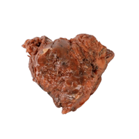 حلتيت إيراني