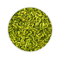 فستق صنوبري