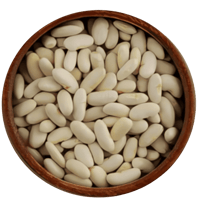 فاصولياء بيضاء