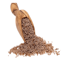 بذور القطونة