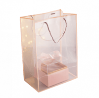 كيس بلاستيك شفاف بإطار وردي /العدد 10