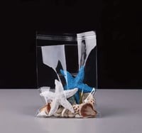 كيس بلاستيك شفاف طولي اغلاق لاصق-16*23سم/100 كيس