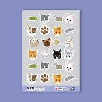 استيكرات قطط لدفاتر -1