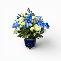 هلا بالسعادة