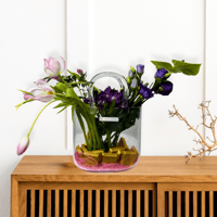 تيوليب الشوكولاه