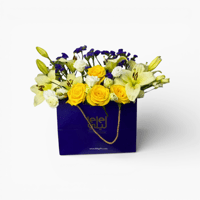 بوكس ورود ليلي