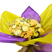 النجم الرائع