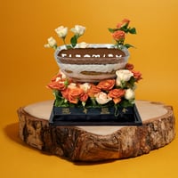 تيرامسيو روز