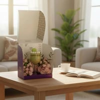 بوكس كأس الفرح بيستاشيو