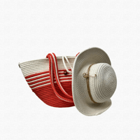 شنطة وقبعة الصيف