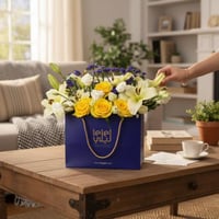 بوكس ورود ليلي