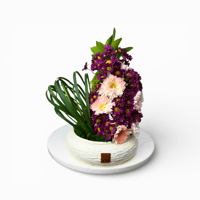 فازة التفوق