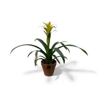 الفخار الاصفر