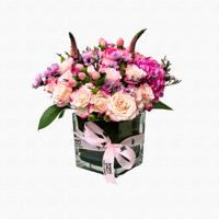 فازة الطبيعة