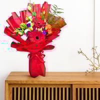 جربيرا الحمراء