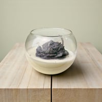 شمعة الوردة السوداء