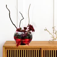 فازة انجليكا