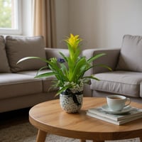 فازة جوزينا الصفراء