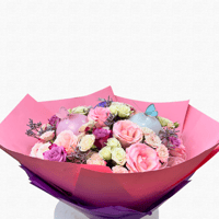 فراشات الصباح