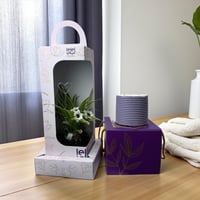 سبايدر الاخضر