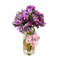 عبق البنفسج