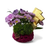 بينكي الصغيره