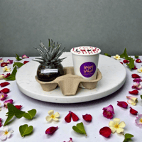 باقة كوب الكيك