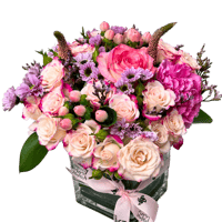 فازة الطبيعة