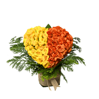 القلب الرائع