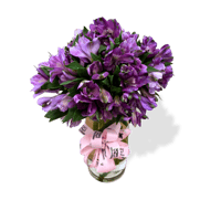 عبق البنفسج