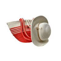 شنطة وقبعة الصيف