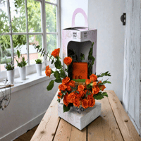 بوكس محمصة الرياض