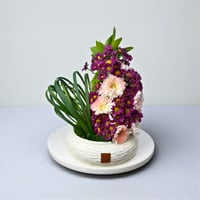 فازة التفوق