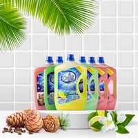 كرتون مطهر أرضيات 3 لتر 6 حبة